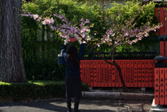 190305b車折神社31