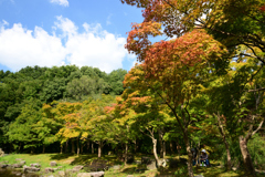 221001万博公園56