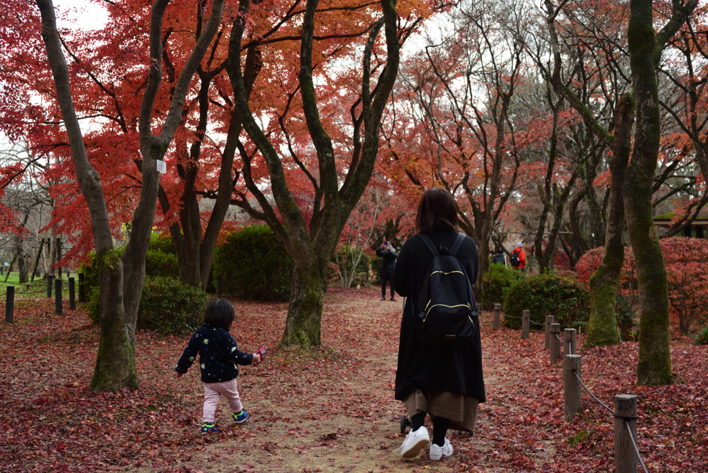 201213a京都植物園44