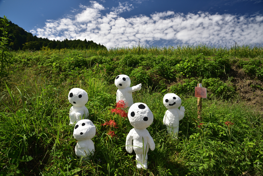 190925b明日香村稲渕21