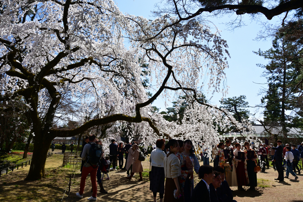 230320c京都御苑09