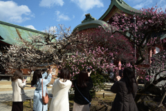 210211b北野天満宮65