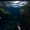 240820京都水族館30