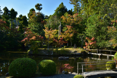 191109c清凉寺33
