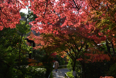 211116c光悦寺14