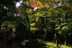 221104b三千院46