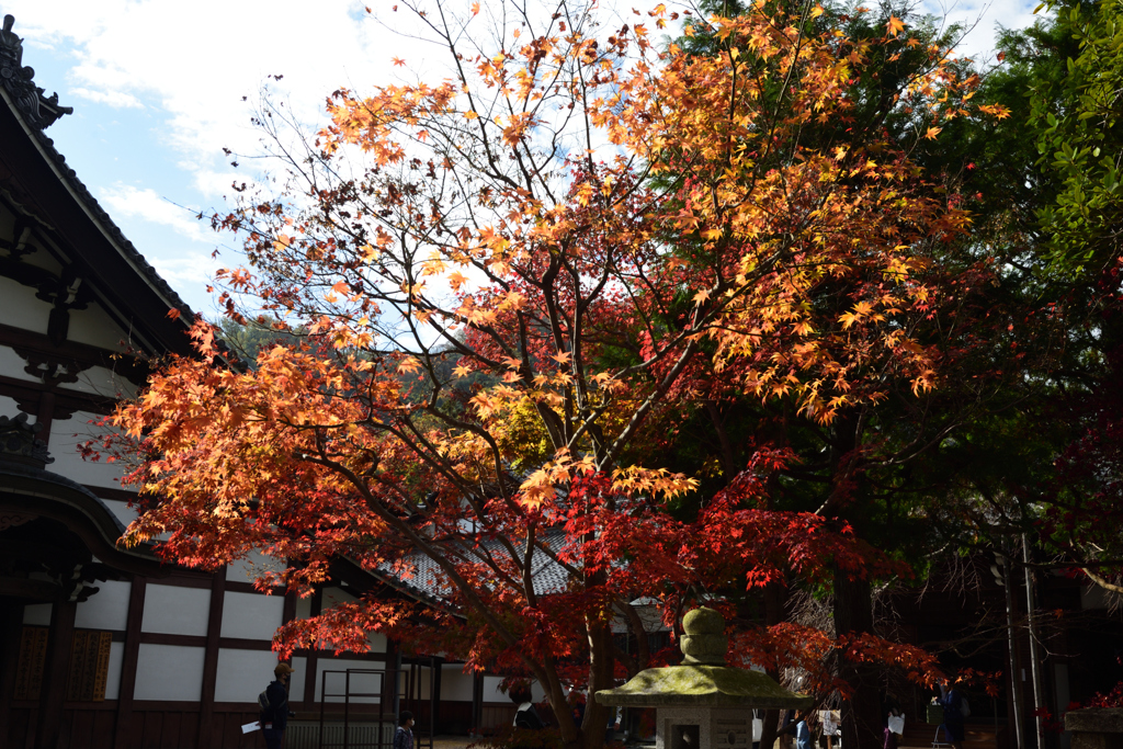 201129a光明寺25