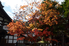 201129a光明寺25