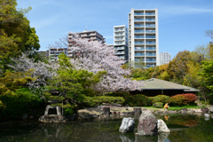 250412四天王寺20