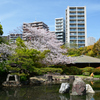 250412四天王寺20
