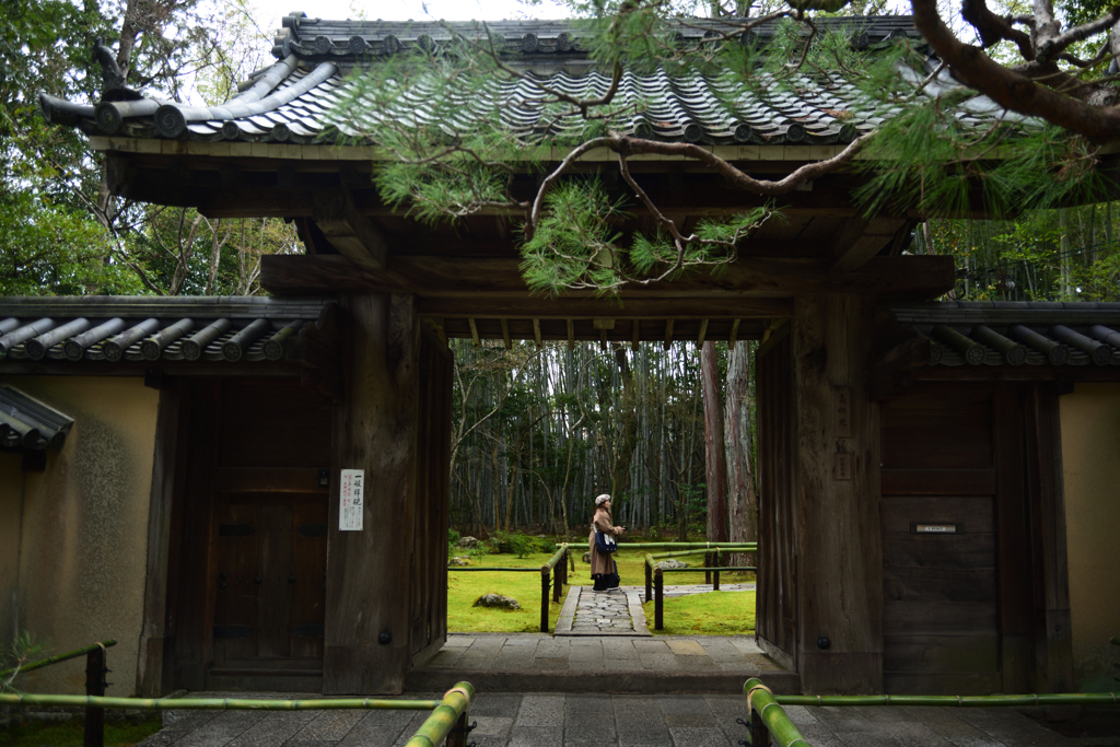 200201d大徳寺高桐院62