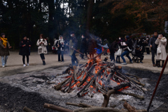 250104a下鴨神社07