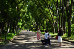 190917京都植物園02