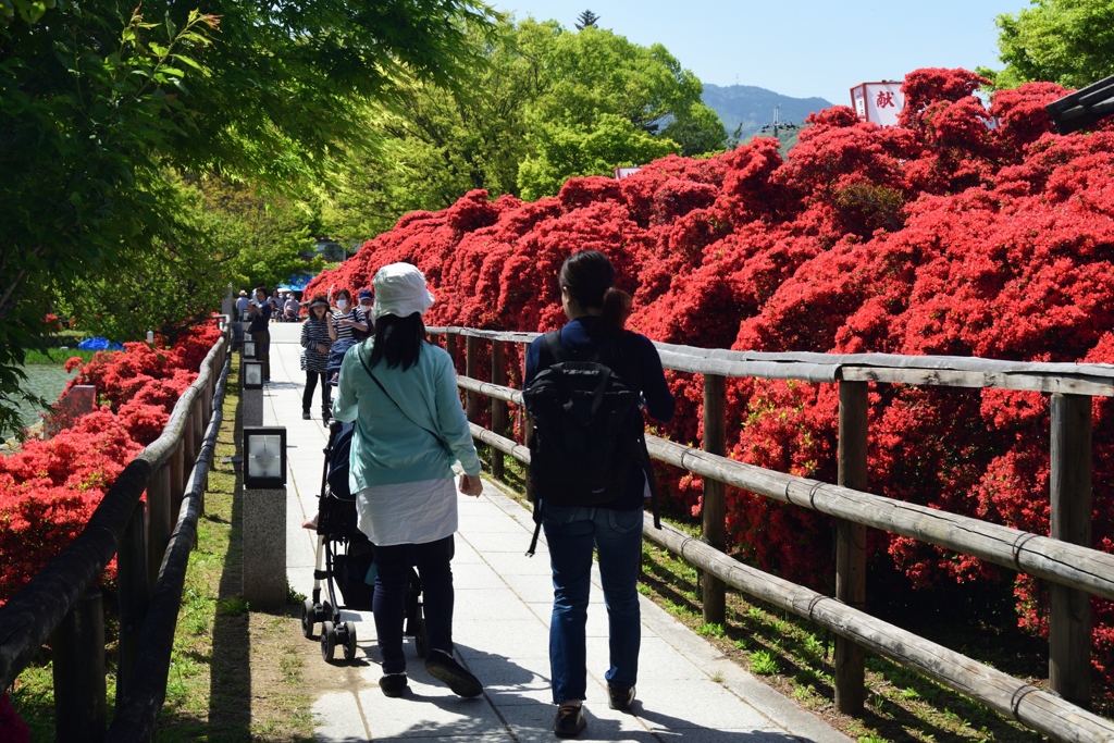 180419b長岡天満宮50+