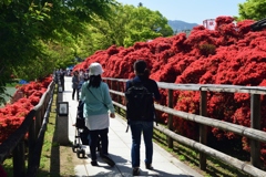 180419b長岡天満宮50+