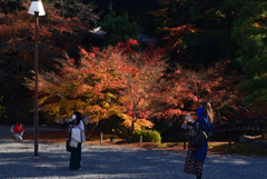 221127b知恩院38
