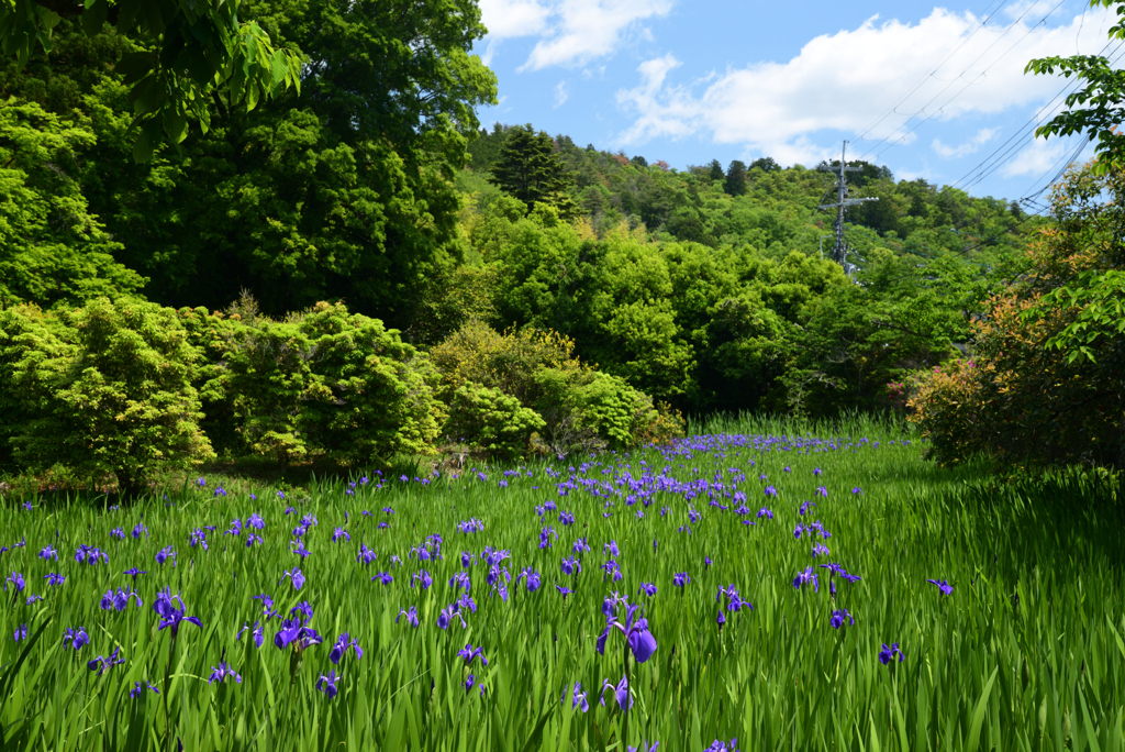 220503b大田神社27