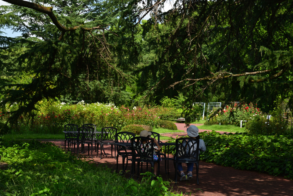 220725京都植物園06