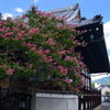 220819e佛陀寺37