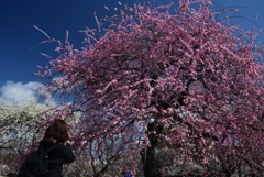 180310万博公園22