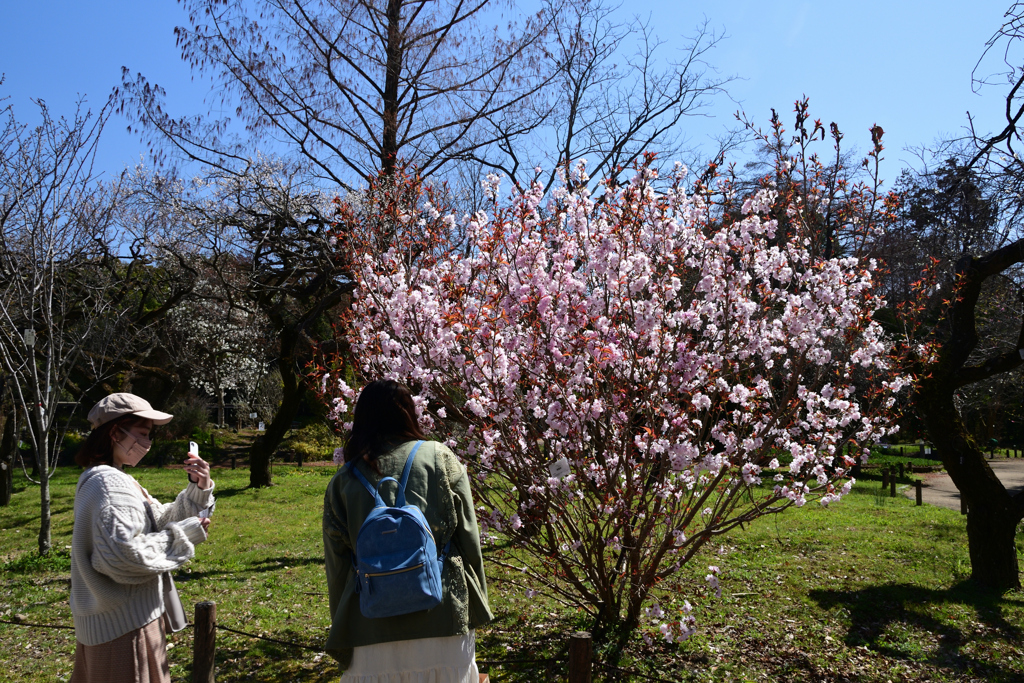 230320a京都植物園46