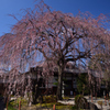 200320i本満寺41