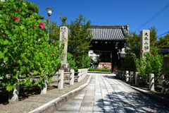 250916妙蓮寺01