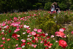 190512a長居植物園11