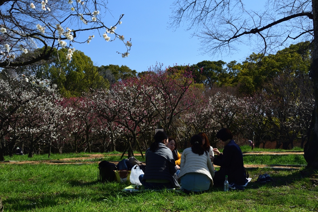 180310万博公園78+