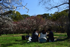 180310万博公園78+