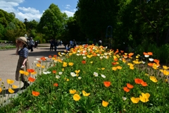 250504京都植物園85