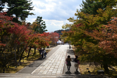 211111a仁和寺18