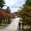 211111a仁和寺18