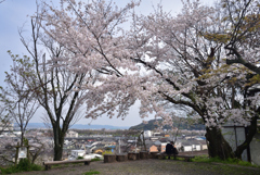 200403d山崎聖天42