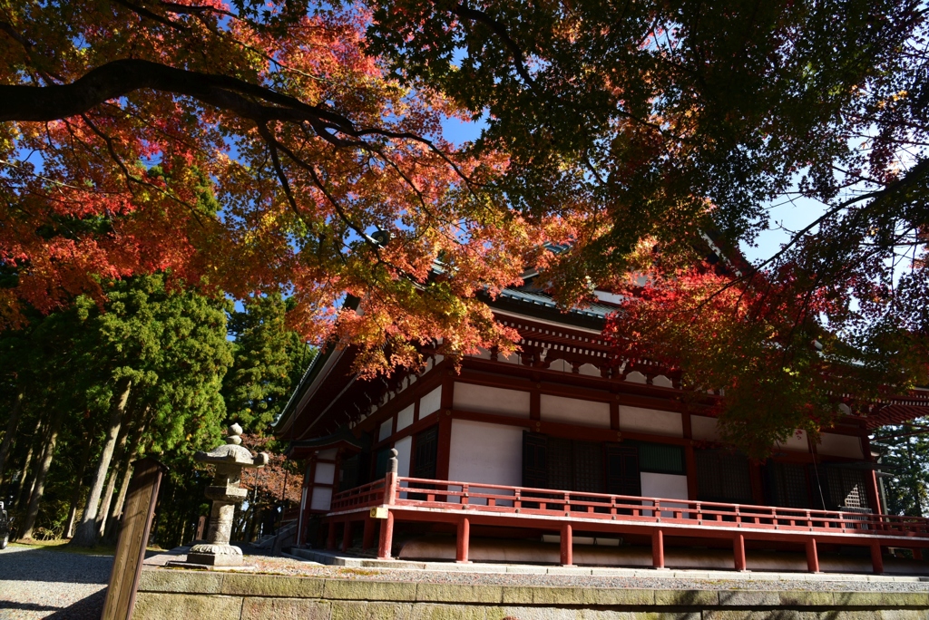 181107b延暦寺01