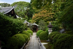 181002f金戒光明寺63+