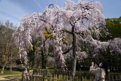 210317b京都御苑19