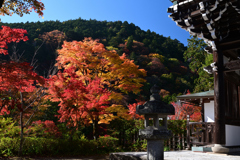231121a善峯寺19