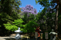 250429b春日大社45