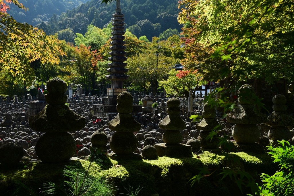 171027c化野念仏寺56