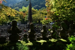 171027c化野念仏寺56