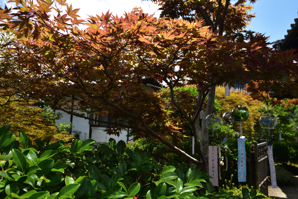 200718cおふさ観音19