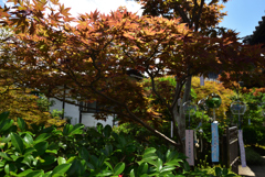 200718cおふさ観音19