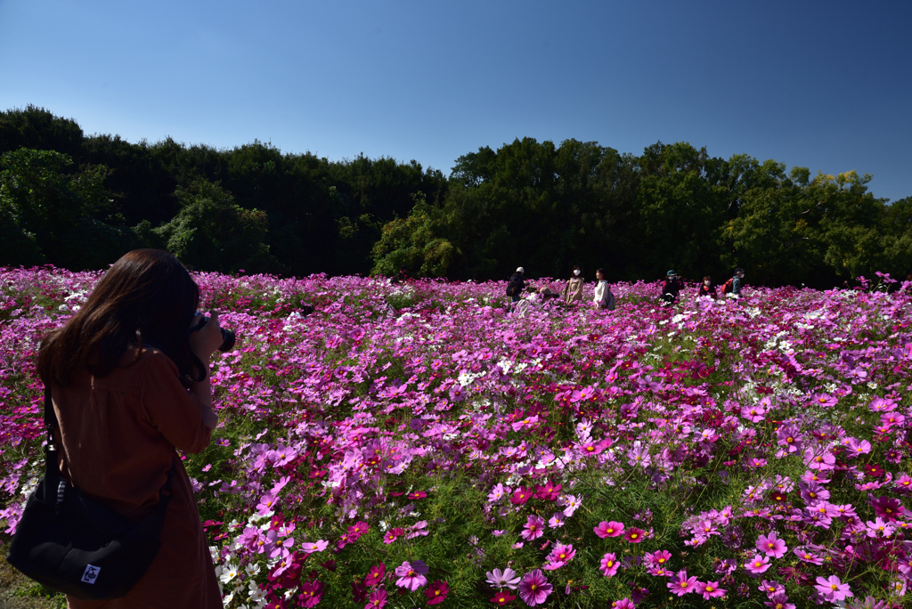 201025万博公園26