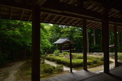 190626b大原来迎院10