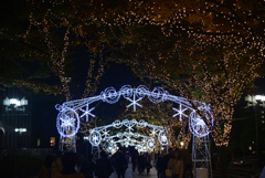 241123c中之島23