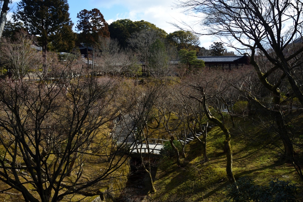 180218a東福寺02+
