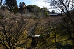 180218a東福寺02+