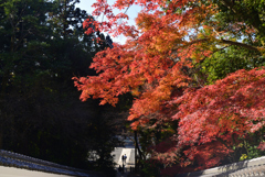 221127b知恩院36