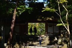 191102e法然院58